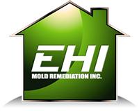 EHI Mold Remediation Inc