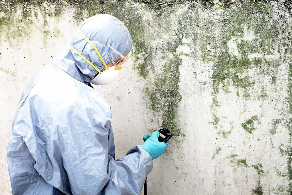 expert mold remediation services in Maryland